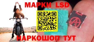 индика Аша