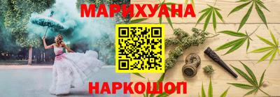 индика Аша